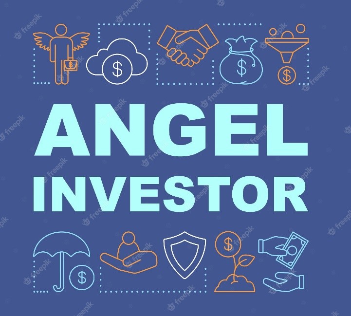 12. Angel Funds / Venture Capital Funds
